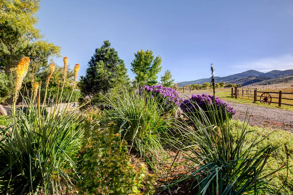 Panorama of a landscaped yard with rock beds and shrubs
