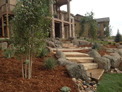 Sandstone staircase edged with boulders and mulch, with young aspens beside a hillside home in Timnath.