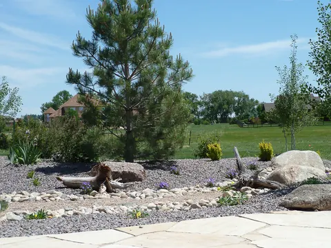 Gravel xeriscape bed with a dry creek of river rock, driftwood and boulders under a pine.