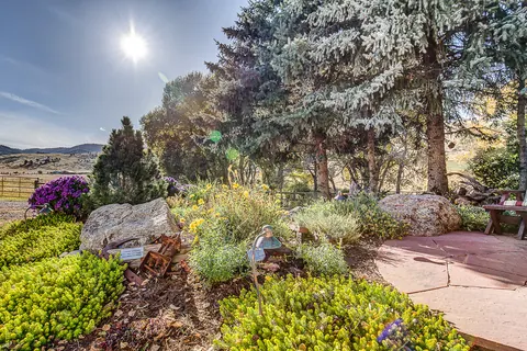 Flagstone patio edge beside a rock garden of boulders, golden groundcover and grasses under blue spruce.