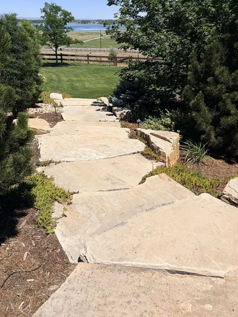 Irregular flagstone walkway leading downhill between evergreens toward a reservoir view in Fort Collins.