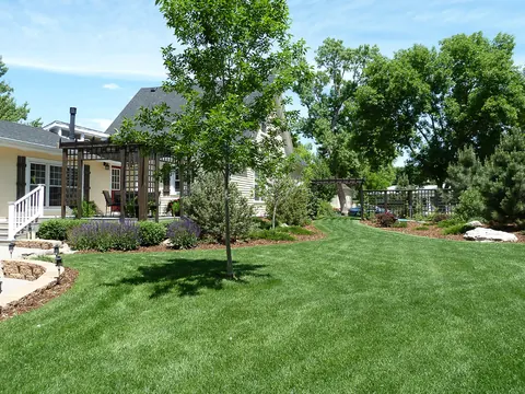 Large green lawn with shade trees, a path edge and a pergola beside a home.