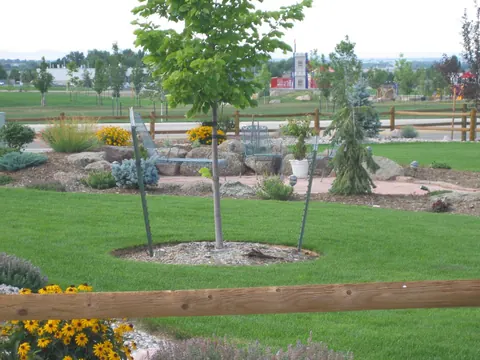 Backyard lawn, flagstone patio and flowering beds beside a split rail fence with a young tree.