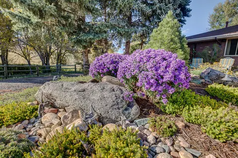 Purple asters and golden groundcover surround a large granite boulder in a river rock bed.