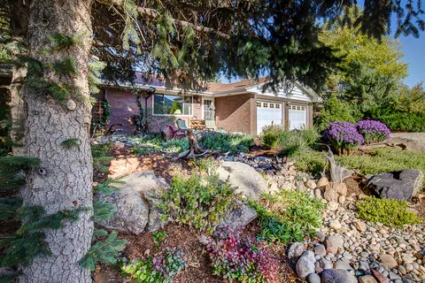 Mountain rock garden with boulders, purple flowers and river rock under a pine.
