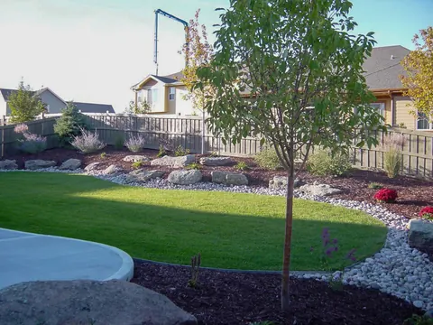 Backyard lawn with a white river rock border, boulders and a young tree by a fence.