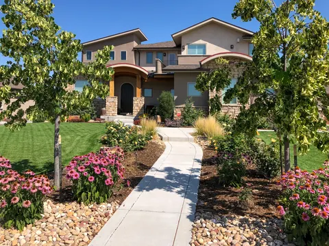 Concrete walkway lined with pink coneflowers, ornamental grasses and young trees leading to a stucco home.