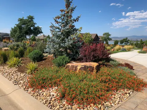 Corner landscape bed with a boulder, blue spruce, burgundy shrubs and red flowers over river rock.