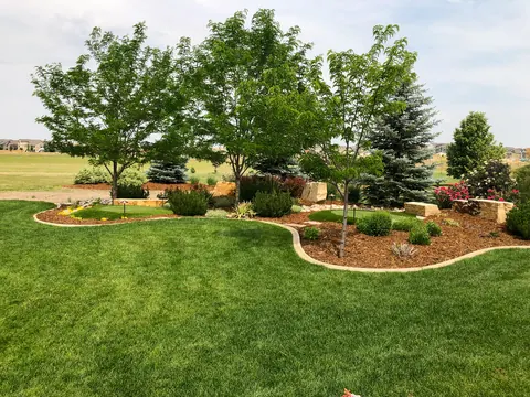 Curving lawn edge with a mulched bed of boulders, shrubs and shade trees.