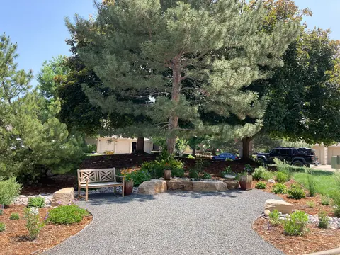 Gravel seating area with a bench, boulders and mulched plantings under a pine in Fort Collins.