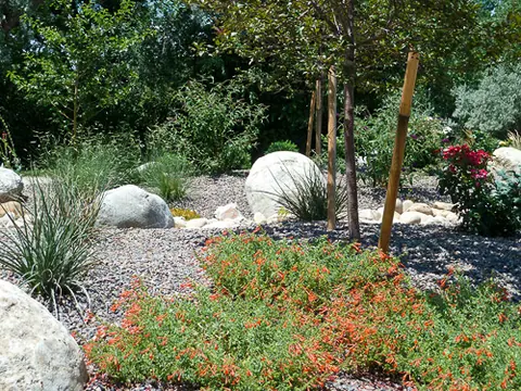 Orange flowering groundcover, white boulders and ornamental grasses under staked young trees.