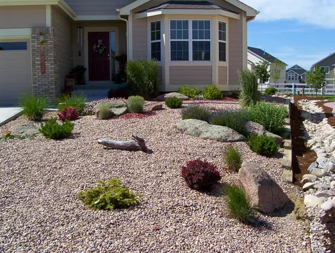 Pea gravel front yard with driftwood, a boulder, red barberry and ornamental grasses.