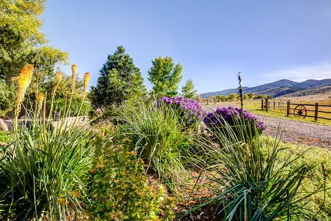 Red hot poker, ornamental grasses and purple flowers with a split rail fence and mountains beyond.