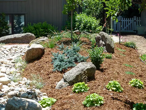 Boulder rockery with a dwarf blue spruce, heuchera and a river rock dry creek.