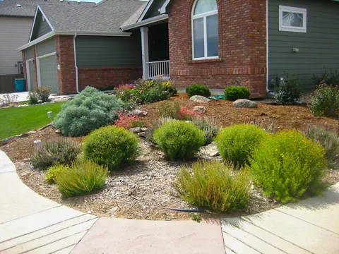 Rounded shrubs and grasses in a mulched front bed beside a curved walkway and brick home.