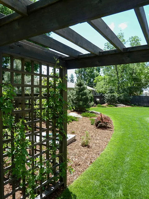 Dark wood trellis arbor beside a curving mulch bed and lawn in a backyard garden.