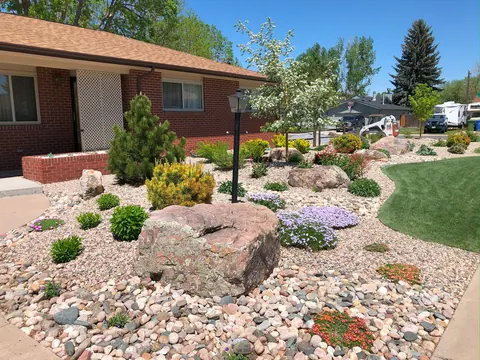 Large boulder, creeping phlox and low evergreens in a river rock front yard in Loveland.