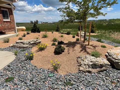 Mounded desert landscape with boulders, yellow flowers and mixed gravel beside a driveway in Fort Collins.