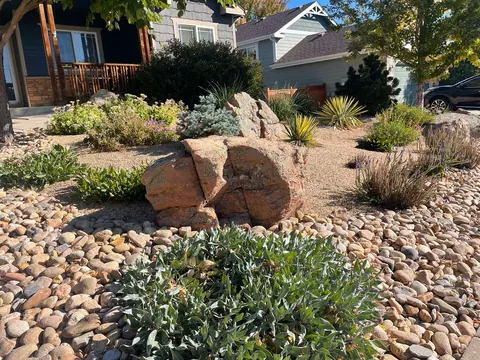 Desert style front yard with rust-colored boulders, grasses and silver perennials in river rock in Loveland.