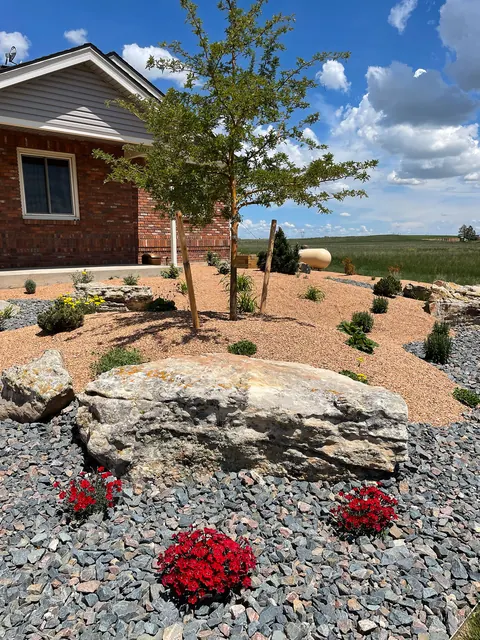 Large boulder with red flowers and a small tree in blue-gray gravel in Fort Collins.