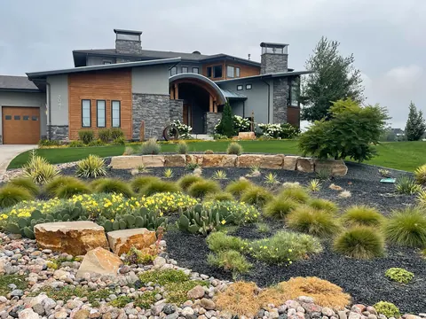 Xeriscape bed with sandstone boulders, yellow flowers and grasses below a modern home in Timnath.